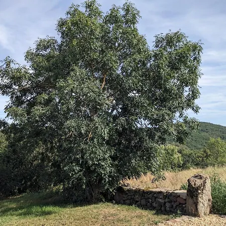 L'etable - Le Hameau Des Volcans, Maison De Luxe & Confort