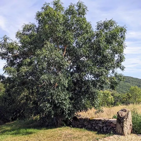 Maison De Confort Au Calme Avec Jardin Clos